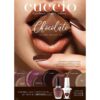 Chocolate Collection A4 Promotional Poster