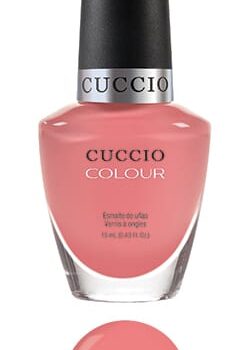 All Decked Out (Cruise Collection)